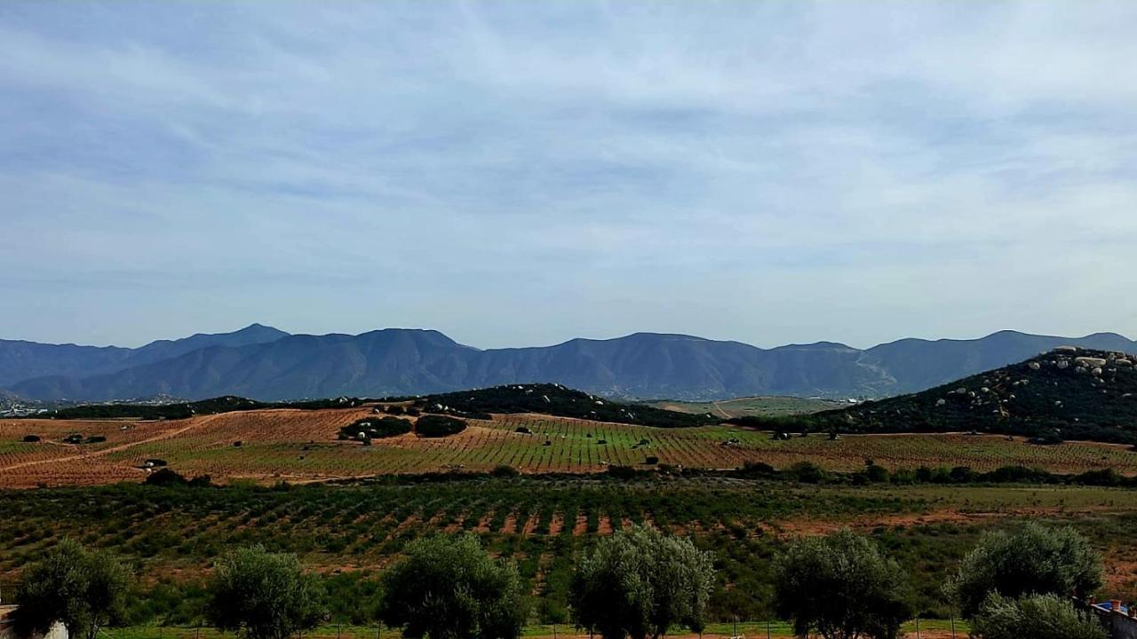 D'Vino Valle De Guadalupe Hotel Енсенада Екстериор снимка